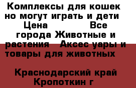 Комплексы для кошек, но могут играть и дети › Цена ­ 11 900 - Все города Животные и растения » Аксесcуары и товары для животных   . Краснодарский край,Кропоткин г.